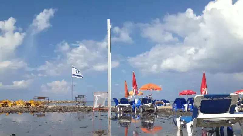 מי הים בחוף הדולפינריום הושחרו בעקבות זיהום אחרי הגשם, אוקטובר 2012 מי הים בחוף הדולפינריום הושחרו בעקבות זיהום אחרי הגשם, אוקטובר 2012