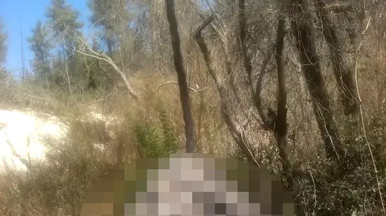 סרטון מציאת הגופה של מג'די חלבי