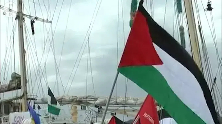 משרד החוץ הזהיר את פעילי המשט השבדי: "לא נהסס להשתמש בכוח"