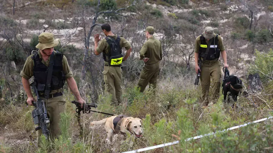 חיפושים אחר חלקי גופתו של מג'די חלבי ביער עוספיה חיפושים אחר חלקי גופתו של מג'די חלבי ביער עוספיה