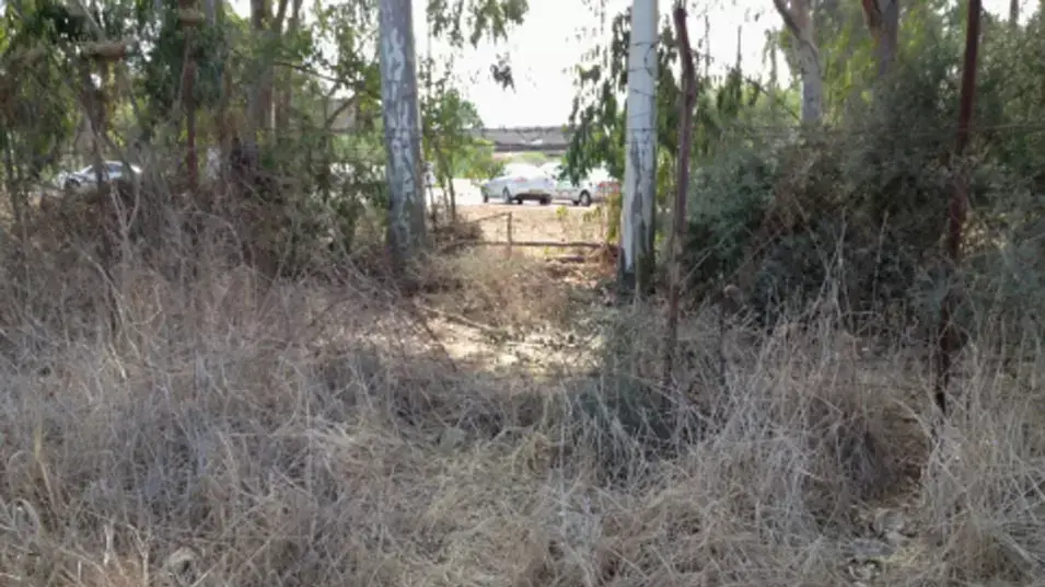 אלמונים פרצו לבסיס צה"ל וגנבו רובים באיומים אלמונים פרצו לבסיס צה"ל וגנבו רובים באיומים