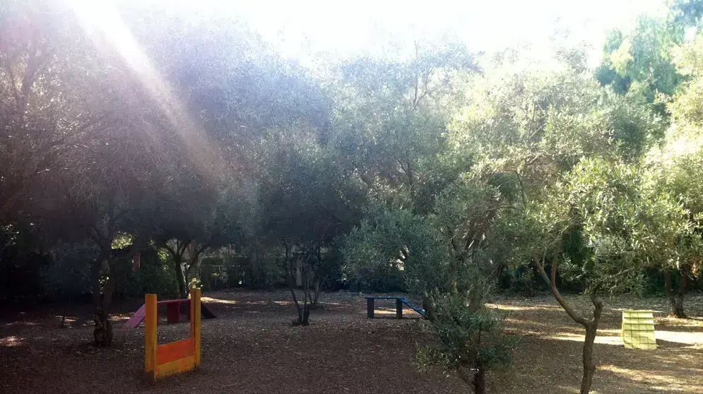 גינת כלבים ברחוב פייבל גינת כלבים ברחוב פייבל