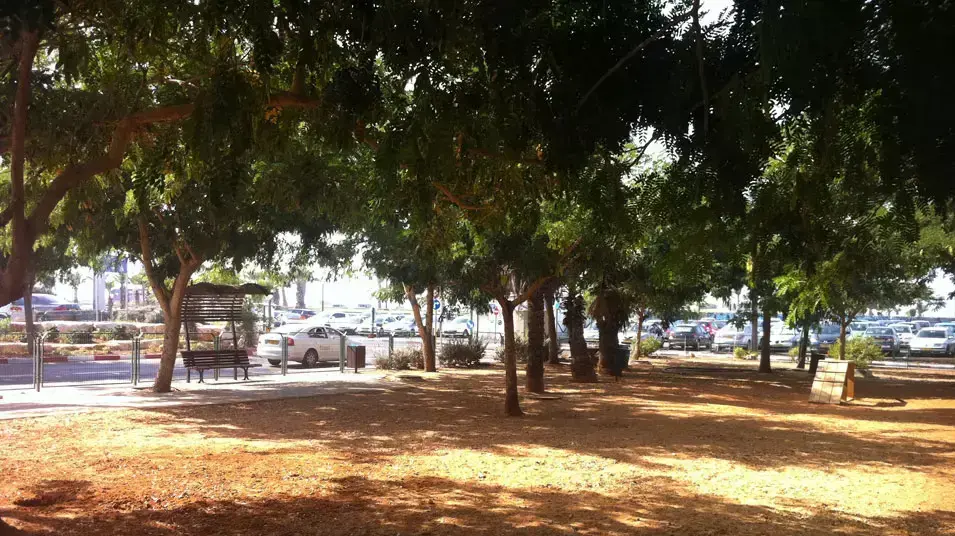 גינת כלבים אליפלט גינת כלבים אליפלט