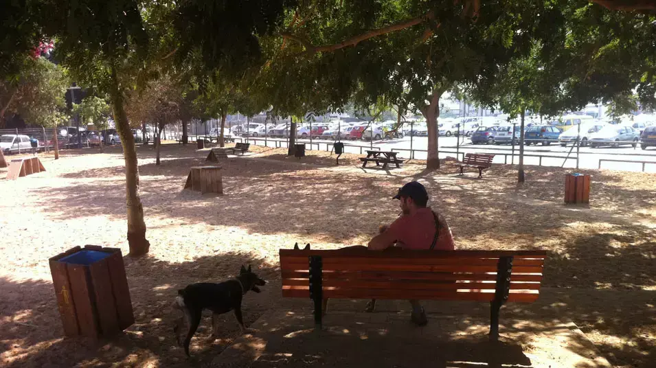 גינת כלבים רחוב שלוש גינת כלבים רחוב שלוש