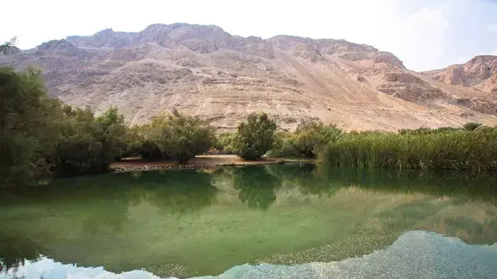 עינות צוקים