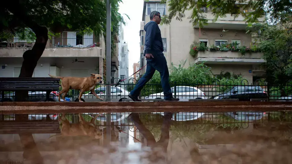 חורף בתל אביב, נובמבר 2012 חורף בתל אביב, נובמבר 2012