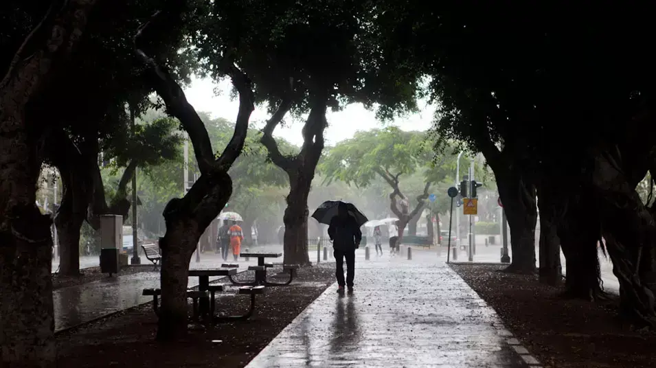 חורף בתל אביב, נובמבר 2012 חורף בתל אביב, נובמבר 2012