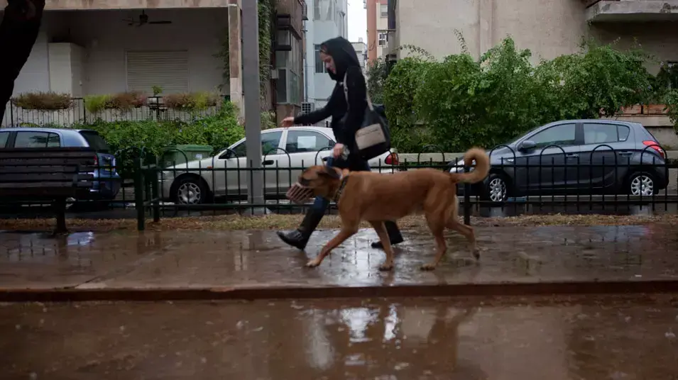 גשם ברחובות תל אביב, 23 נובמבר 2012