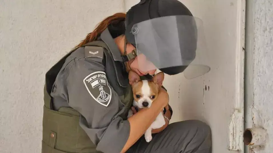 שוטרת מג"ב הילה יפרח מגוננת על כלב במזן אזעקה בבאר שבע