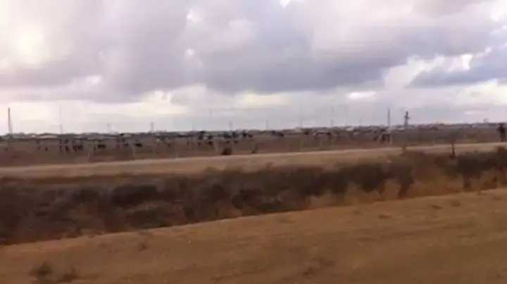פחות משבוע מאז הפסקת האש: התקהלויות סביב הגדר