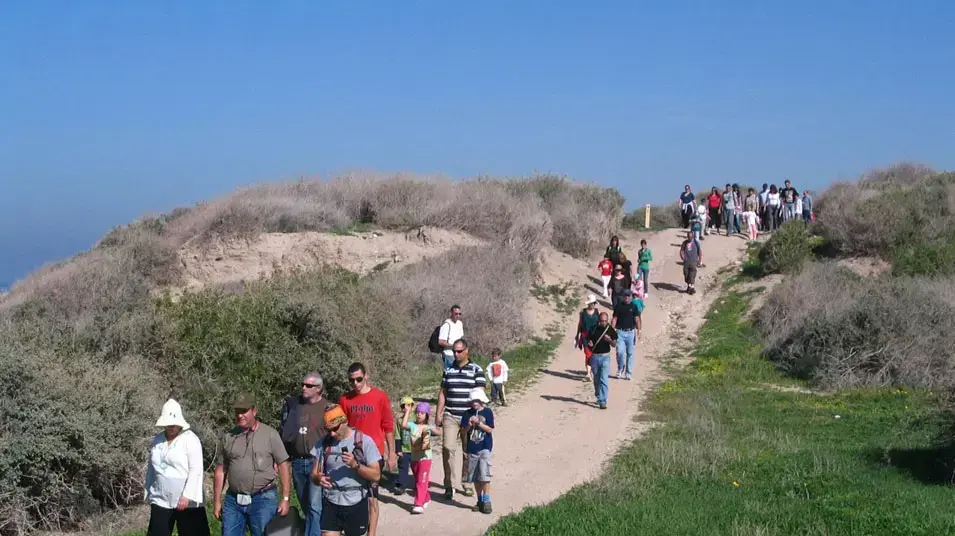 אלפי מטיילים ביקרו בגן הלאומי אשקלון, 1 בדצמבר 2012 אלפי מטיילים ביקרו בגן הלאומי אשקלון, 1 בדצמבר 2012