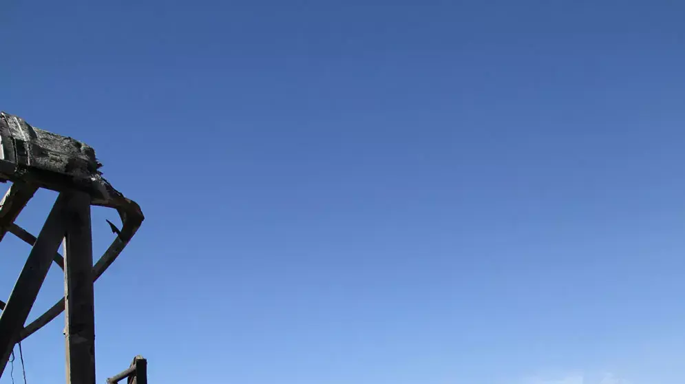 דודו וענונו , נובמבר 2012