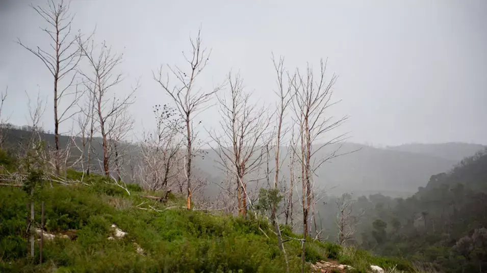 טקס זיכרון לנספי אסון הכרמל באנדרטת האוטובוס, דצמבר 2012 טקס זיכרון לנספי אסון הכרמל באנדרטת האוטובוס, דצמבר 2012
