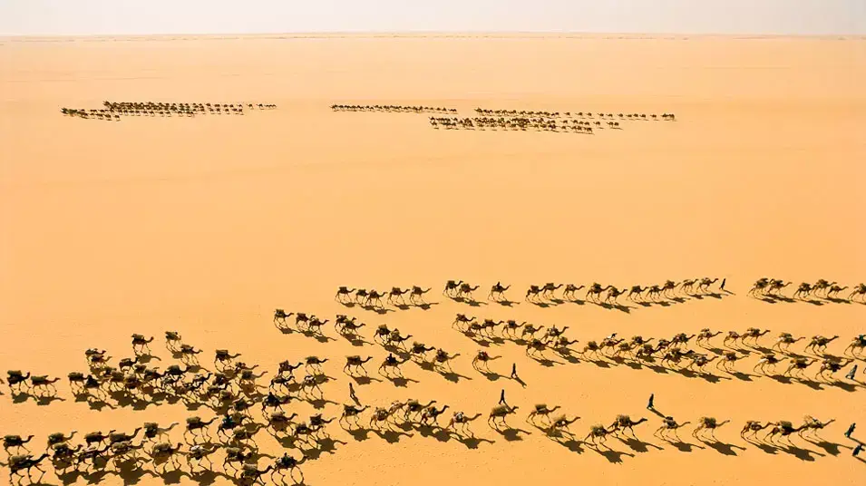 צילומים מהספר Desert Air צילומים מהספר Desert Air
