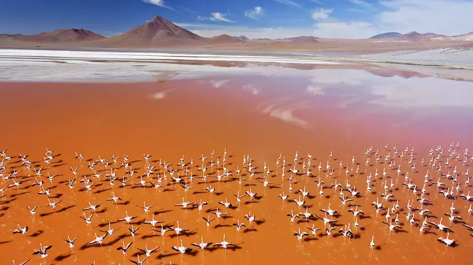 צילומים מהספר Desert Air צילומים מהספר Desert Air