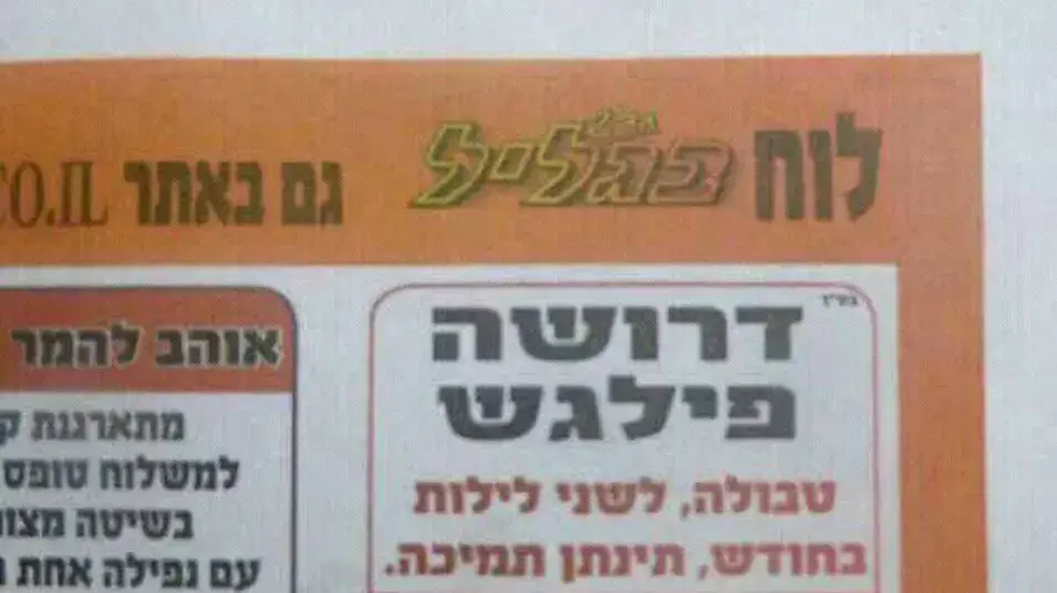 מודעה דרושה פילגש טבולה, דצמבר 2012
