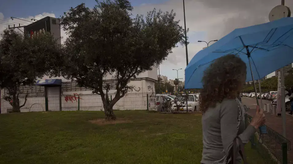 מאהל הפראיירים ריק, דצמבר 2012 מאהל הפראיירים ריק, דצמבר 2012