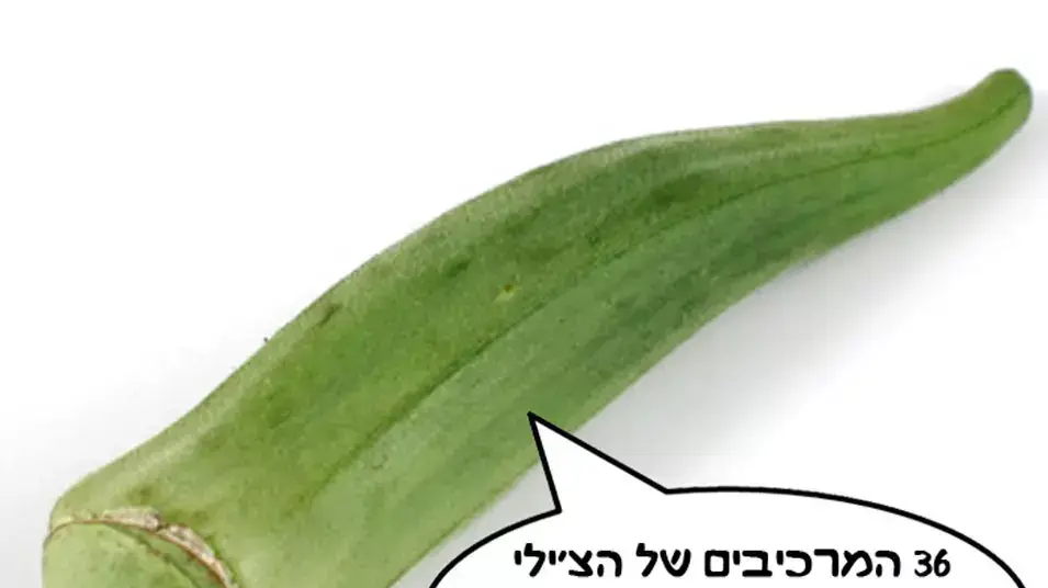 במיה לבלוג מאסטר שף במיה לבלוג מאסטר שף