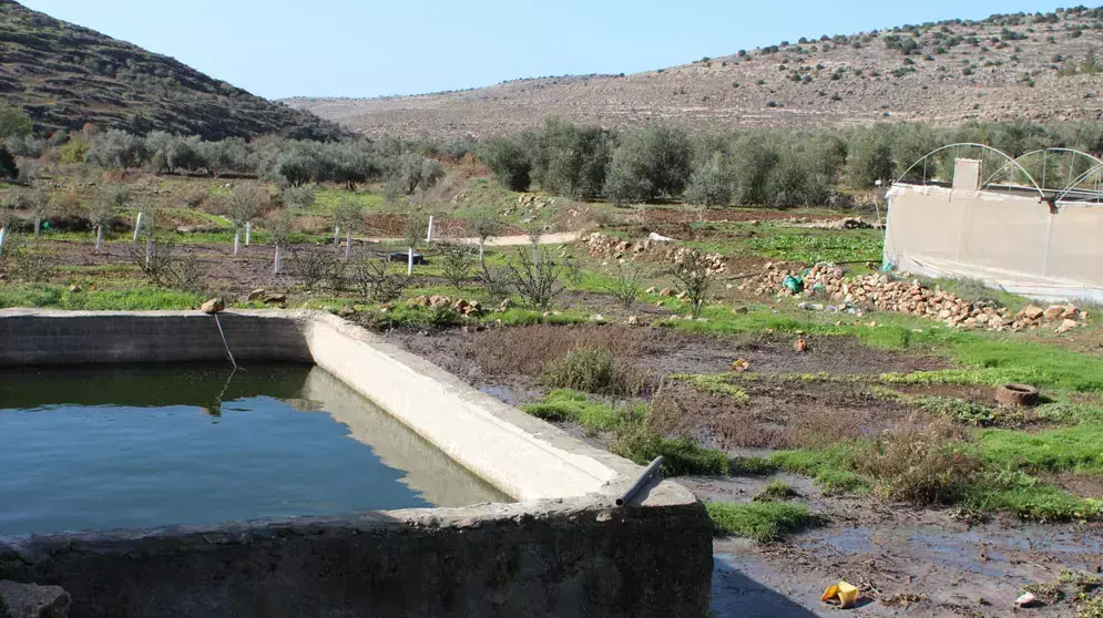 מי השופכין של ביתר עילית זורמים לשטחים החקלאיים של ואדי פוכין מי השופכין של ביתר עילית זורמים לשטחים החקלאיים של ואדי פוכין