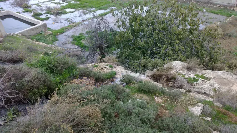 מי השופכין של ביתר עילית זורמים לשטחים החקלאיים של ואדי פוכין