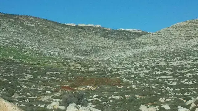 המינהל האזרחי הרס כרם בהתנחלות קידה השייכת לקצין צה"ל