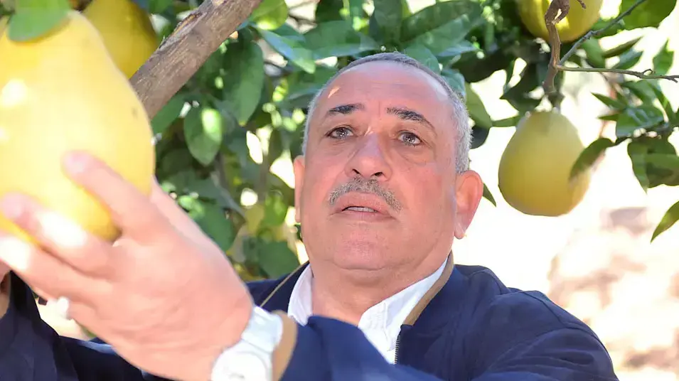 פשע בכפר טובא זנגריה, דצמבר 2012 פשע בכפר טובא זנגריה, דצמבר 2012