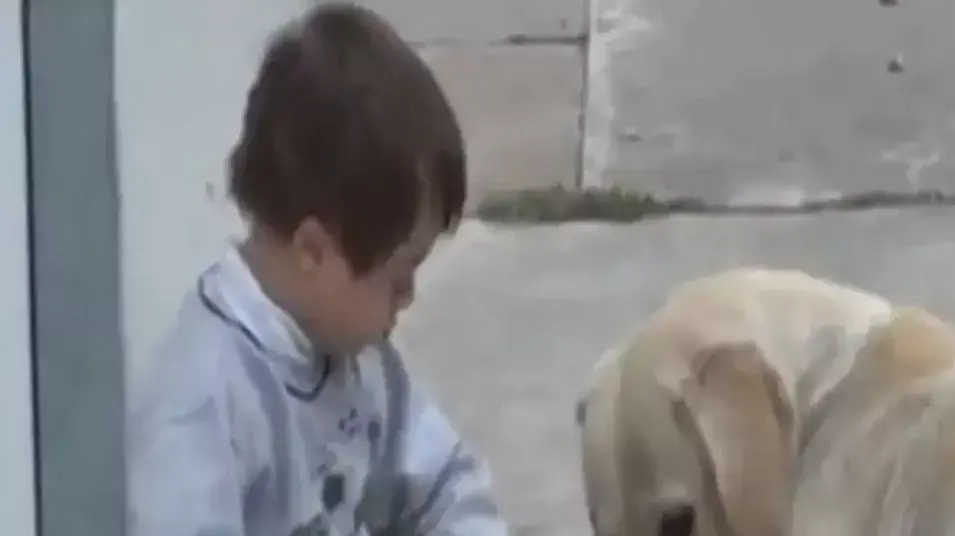 כלב מחבק ילד אוטיסט כלב מחבק ילד אוטיסט