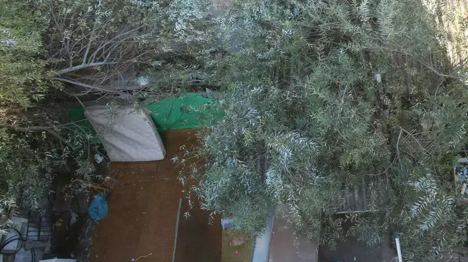 זירת האונס בדרום תל אביב, דצמבר 2012 זירת האונס בדרום תל אביב, דצמבר 2012