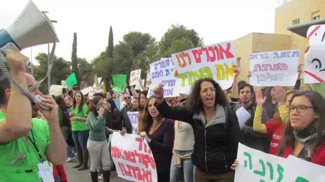 סטודנטים למדעי התזונה נאבקים להכליל את הסטאז' במסגרת התואר