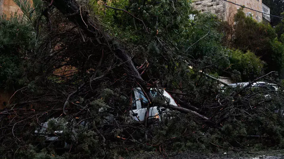 קריסת עץ על רכב בירושלים, ינואר 2013 קריסת עץ על רכב בירושלים, ינואר 2013
