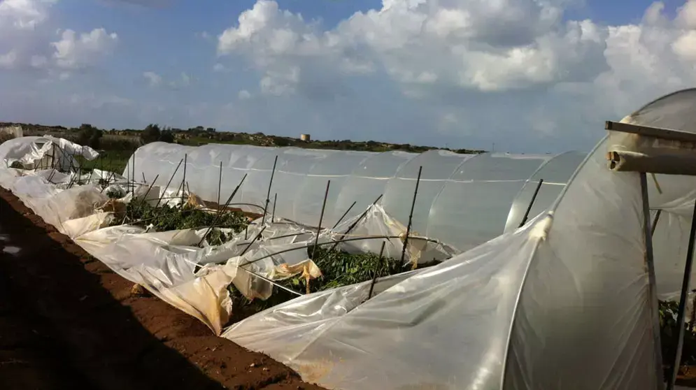 חממות שניזוקו מפגעי מזג האוויר במרכז הארץ, ינואר 2013 חממות שניזוקו מפגעי מזג האוויר במרכז הארץ, ינואר 2013