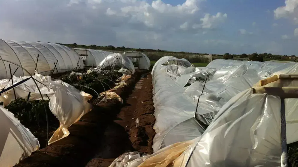 חממות שניזוקו מפגעי מזג האוויר במרכז הארץ, ינואר 2013 חממות שניזוקו מפגעי מזג האוויר במרכז הארץ, ינואר 2013