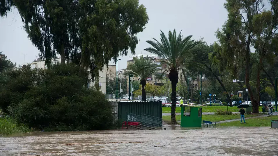 הירקון, ינואר 2013