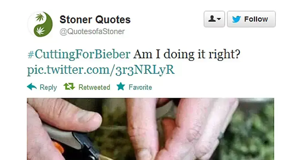 cut for bieber