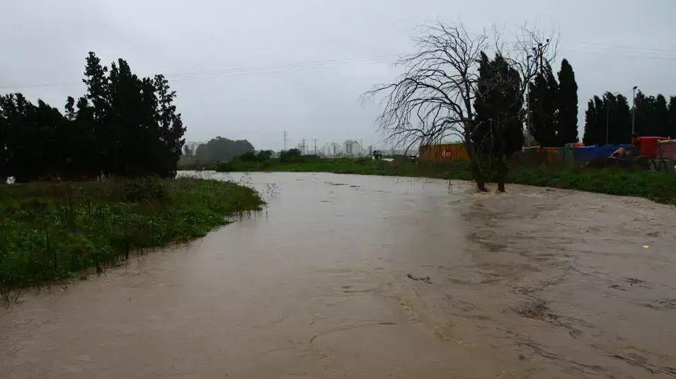 נחל חדרה, ינואר 2013 נחל חדרה, ינואר 2013
