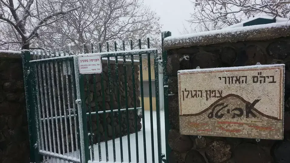 שלג במרום גולן, ינואר 2013 שלג במרום גולן, ינואר 2013