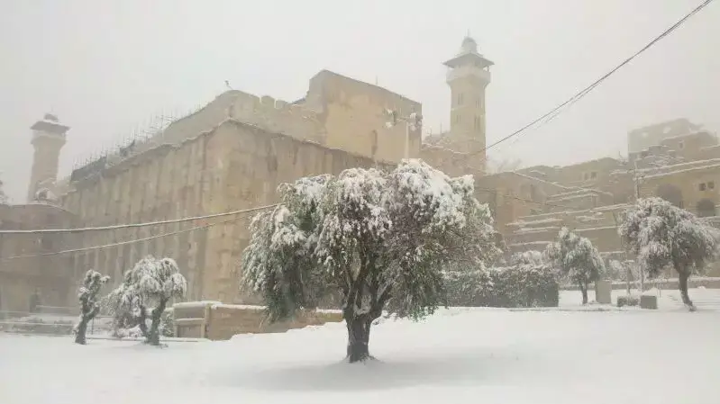 שלג בחברון, ינואר 2013 שלג בחברון, ינואר 2013