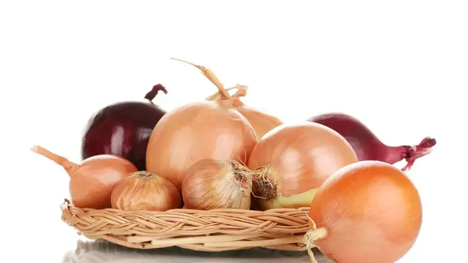 בצלים בצלים