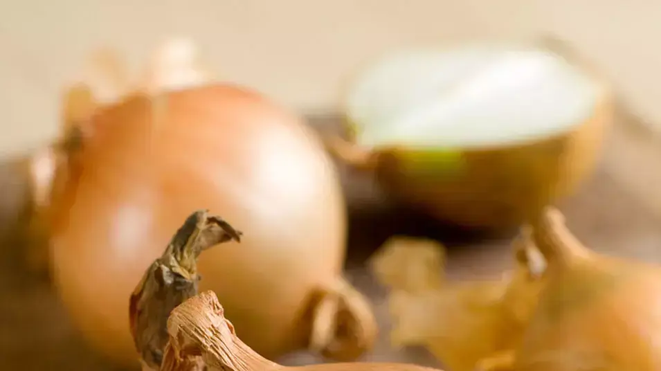 בצלים בצלים