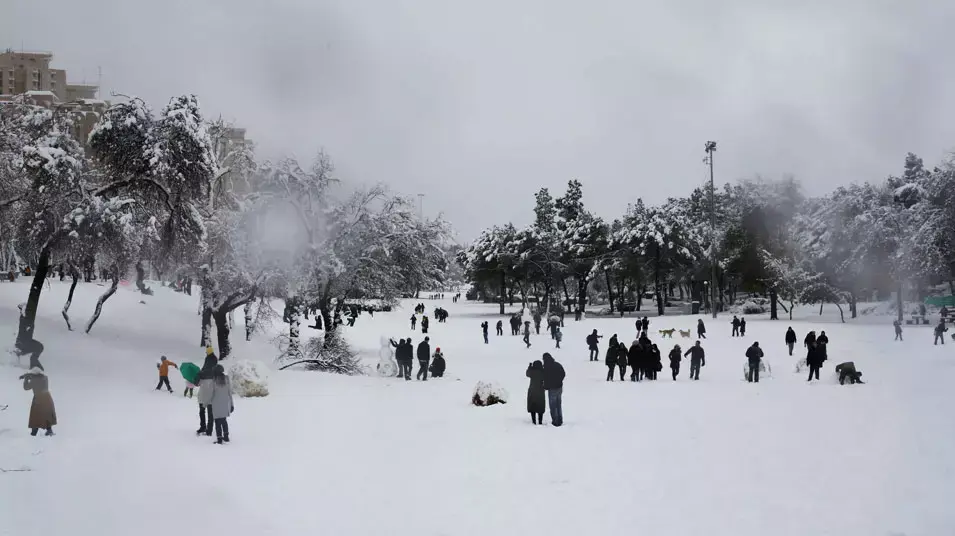 שלג בגן סאקר, ינואר 2013 שלג בגן סאקר, ינואר 2013