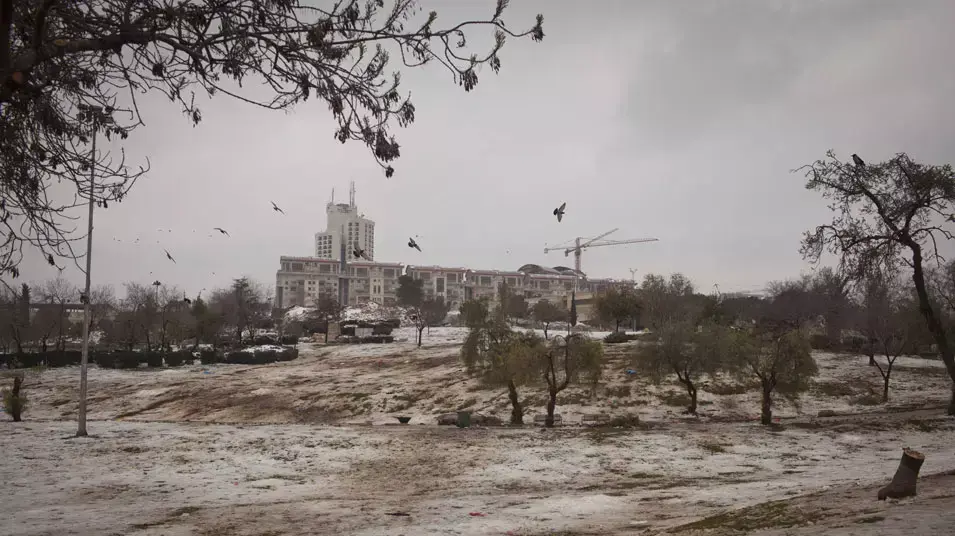 גן סאקר בירושלים לאחר הסופה, 11 ינואר 2013 גן סאקר בירושלים לאחר הסופה, 11 ינואר 2013