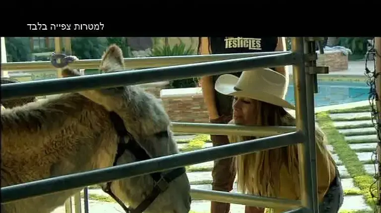 חי בלה לה לנד חי בלה לה לנד