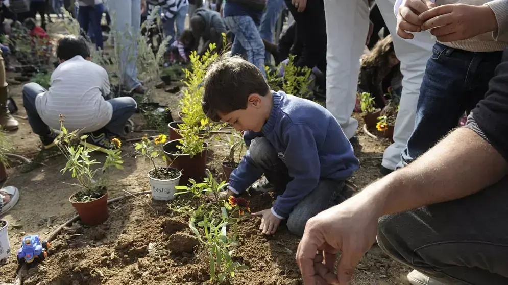 נטיעות לכבוד ט"ו בשבט תשע"ג, ינואר 2013 נטיעות לכבוד ט"ו בשבט תשע"ג, ינואר 2013