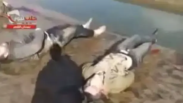 עשרות גופות של גברים ונערים אותרו בנהר בפרברי חלב, סוריה, 29 בינואר 2013 עשרות גופות של גברים ונערים אותרו בנהר בפרברי חלב, סוריה, 29 בינואר 2013