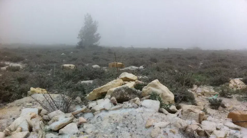 שלג בגוש עציון, 31 בינואר 2013 שלג בגוש עציון, 31 בינואר 2013