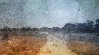 אילוסטרציה