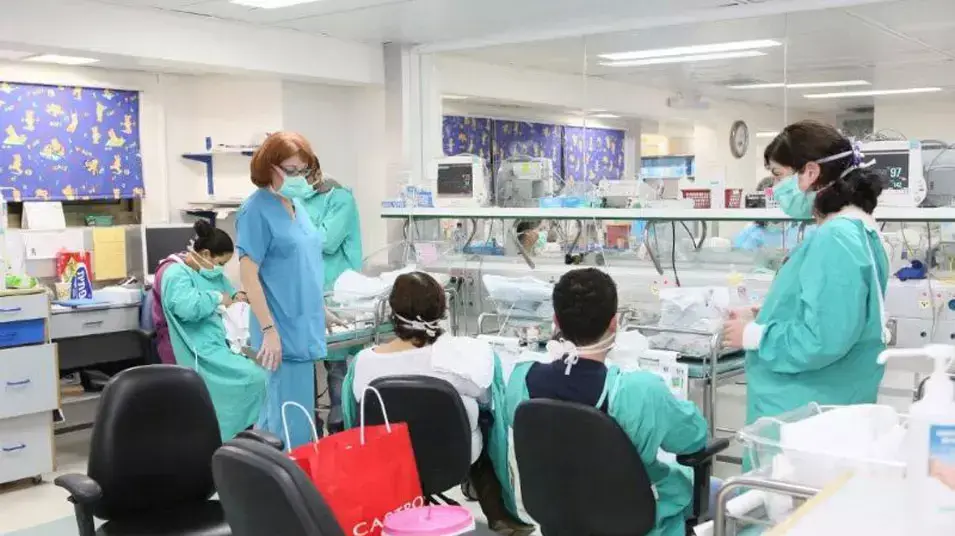 הפגייה בבית החולים רמב"ם בחיפה הפגייה בבית החולים רמב"ם בחיפה