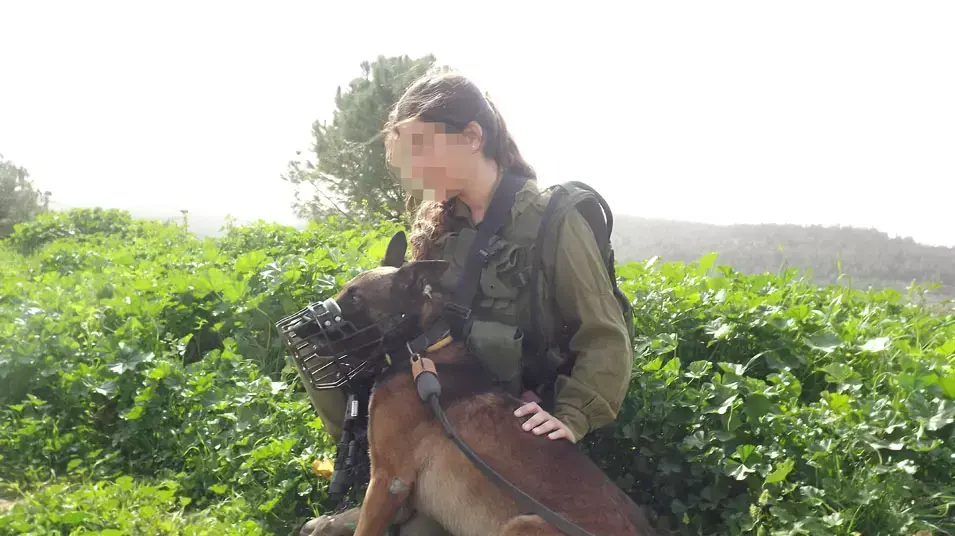 כלבניות ביחידת עוקץ כלבניות ביחידת עוקץ