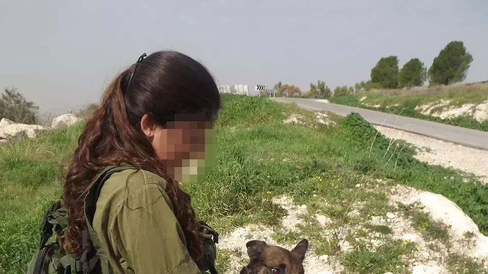 כלבניות ביחידת עוקץ כלבניות ביחידת עוקץ