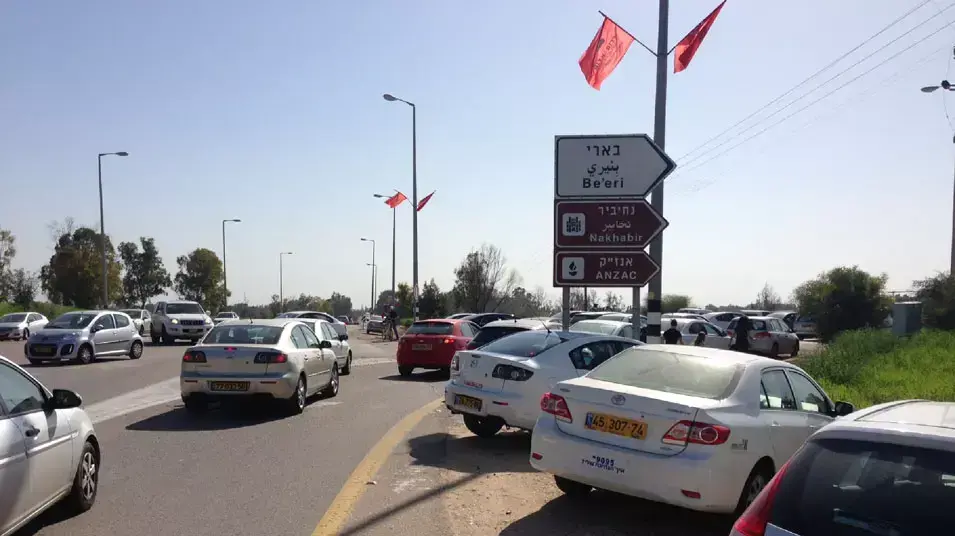 מטיילים שהגיעו לחזות בפריחת הכלניות בנגב המערבי, 9 בפברואר 2013 מטיילים שהגיעו לחזות בפריחת הכלניות בנגב המערבי, 9 בפברואר 2013